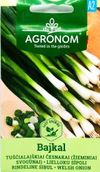 Onion Spring Bajkal Seeds